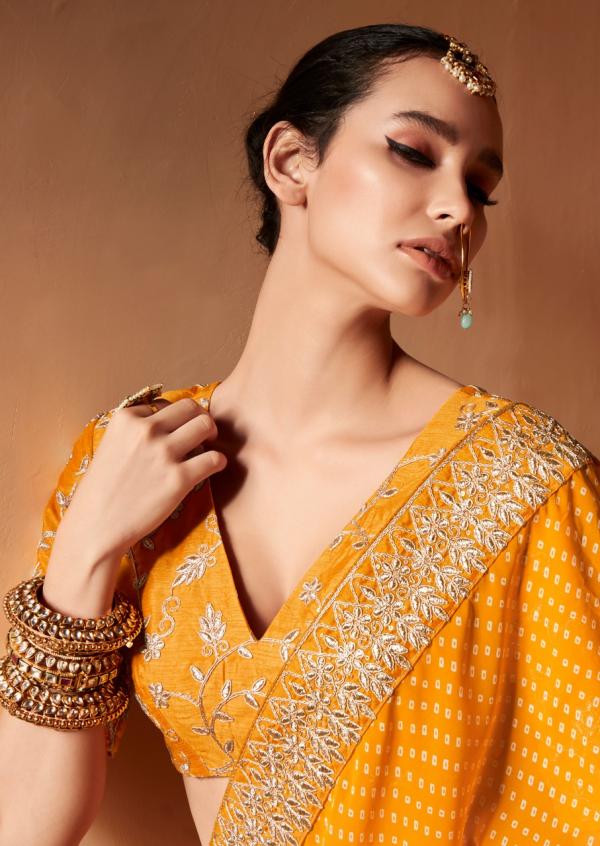 Stavan Khazana Festival Wear Embroidery Saree Collection